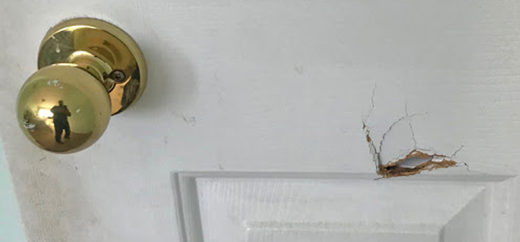 interior door hole repair Immokalee